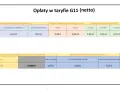 Tabela opłat G11 netto: ile kosztuje 1 kWh PGE? Zmienne stawki sieciowe od 0,2223 zł/kWh, opłaty stałe i abonamentowe zależne od zużycia i okresu.