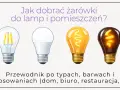 Cztery żarówki: LED filament, nowoczesna LED, tradycyjna żarowa i ozdobna. Przewodnik po doborze oświetlenia, np. do salonu Polux.