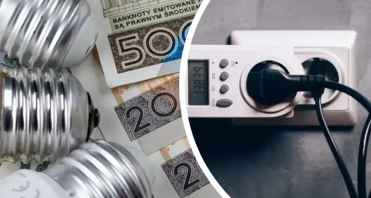 Żarówki i polskie banknoty obok licznika energii. Jakie będzie średnie zużycie prądu 2 osoby?