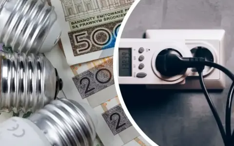 Żarówki i polskie banknoty obok licznika energii. Jakie będzie średnie zużycie prądu 2 osoby?