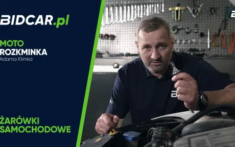 Mężczyzna pokazuje, jak wymienić żarówkę w aucie. W tle warsztat z narzędziami.