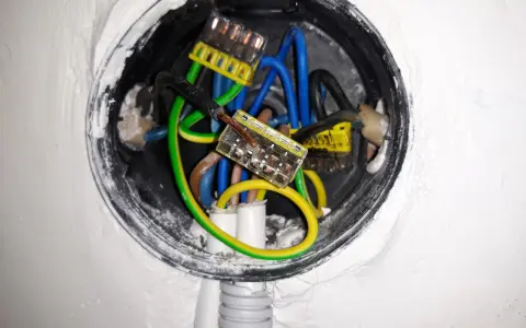 Wnętrze puszki elektrycznej z przewodami: niebieskim, zielono-żółtym i brązowym, połączonymi złączkami. Trwa zerowanie gniazdka.